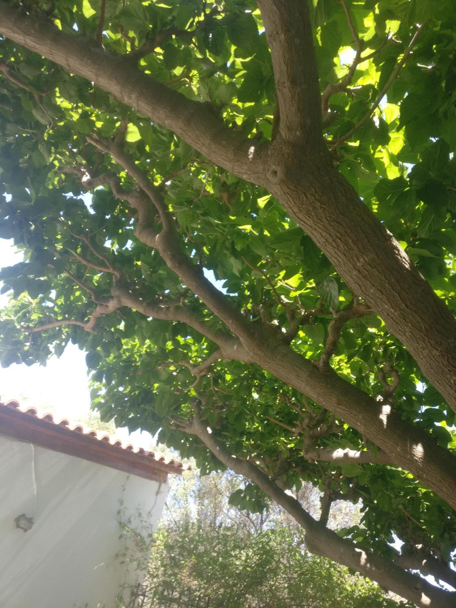 Yfantis Sakis Apartment'S Eratini Luaran gambar
