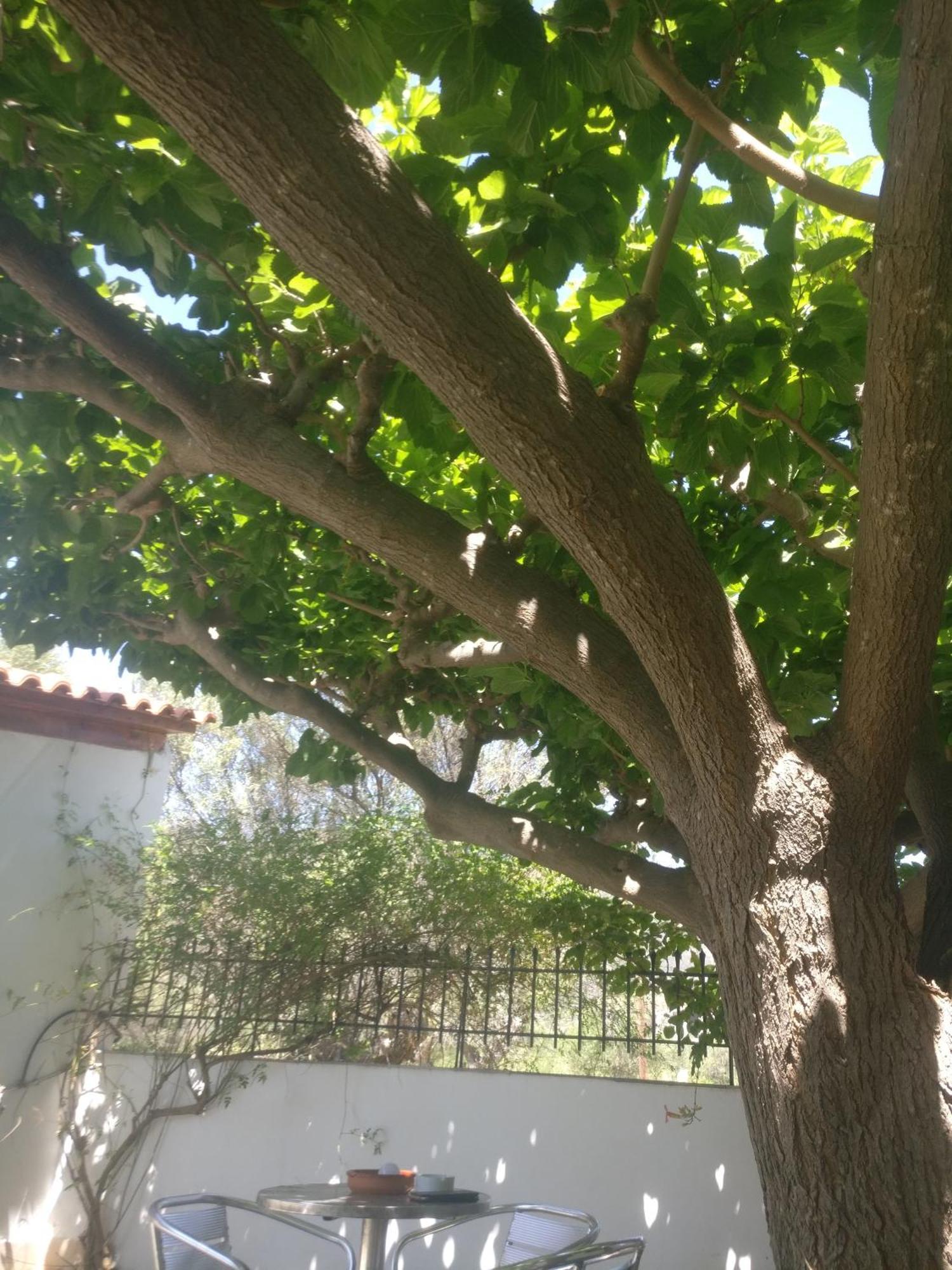 Yfantis Sakis Apartment'S Eratini Luaran gambar