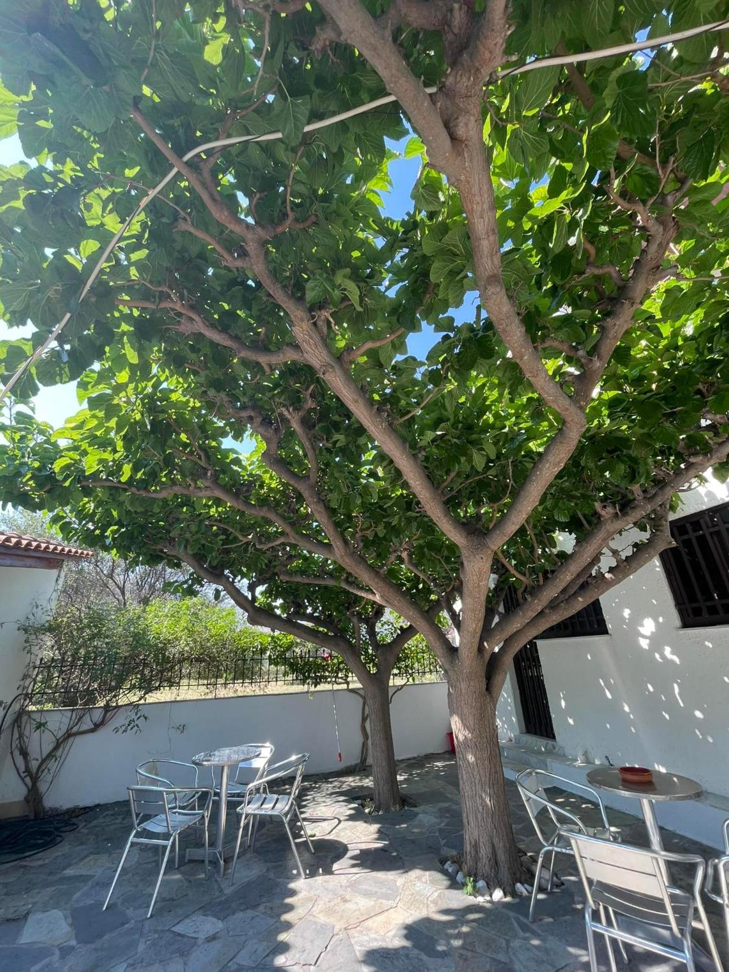 Yfantis Sakis Apartment'S Eratini Luaran gambar